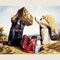 You shall not kill (Exodus 20:13)